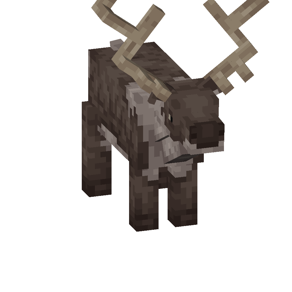 Reindeer