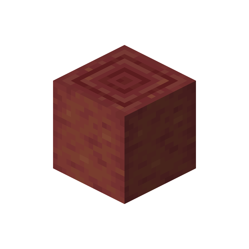 Stripped Mangrove Log