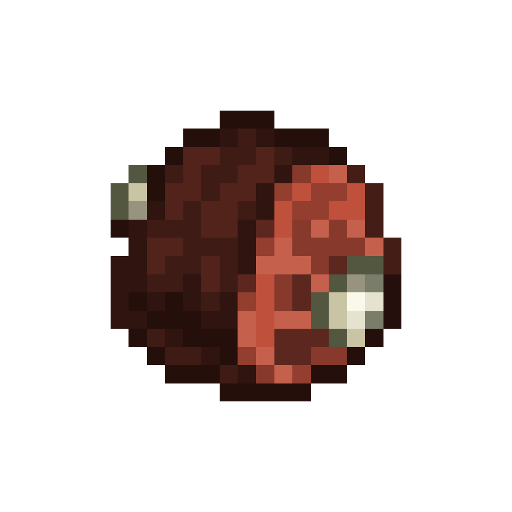 Cooked Cassowary Meat