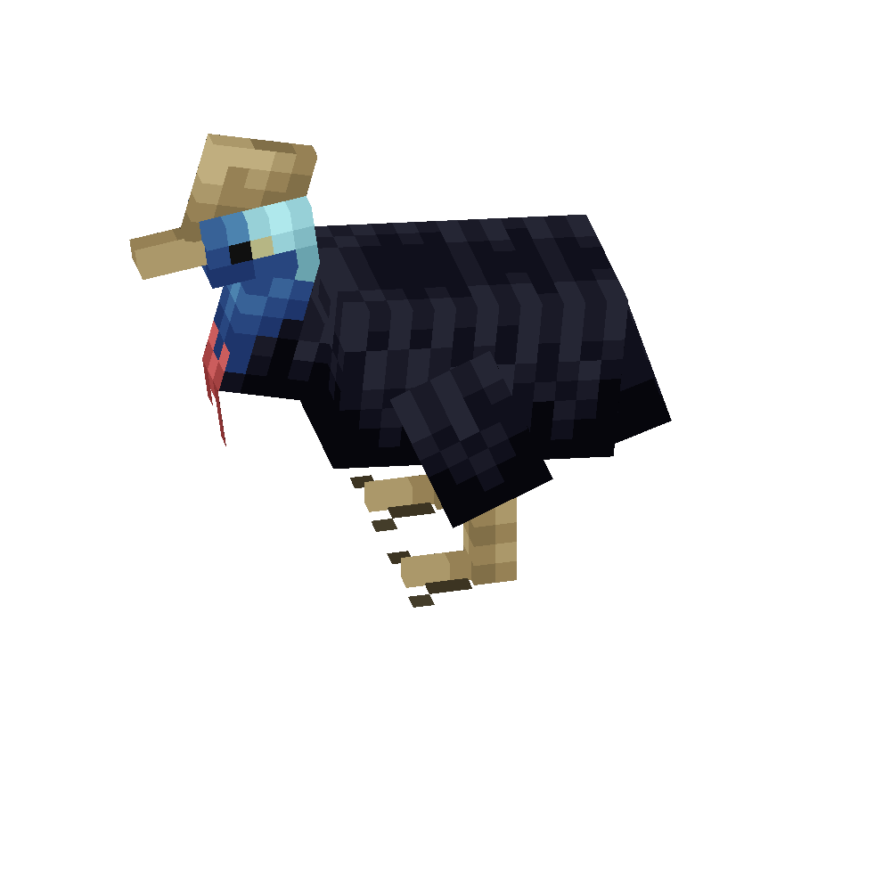 Cassowary
