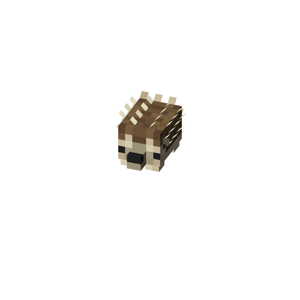 Hedgehog