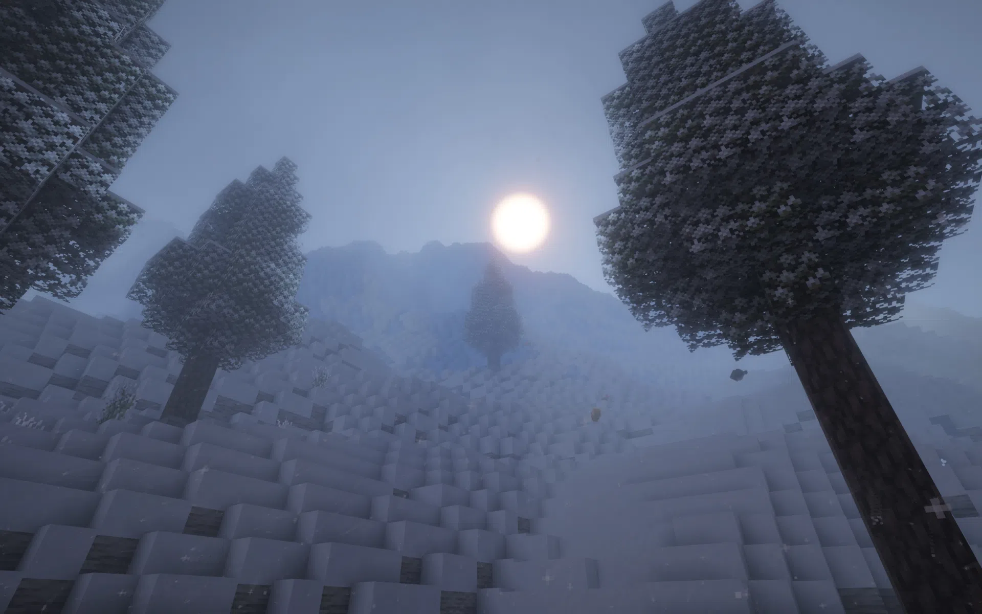 Cold alpine slopes with lingering winter fog.