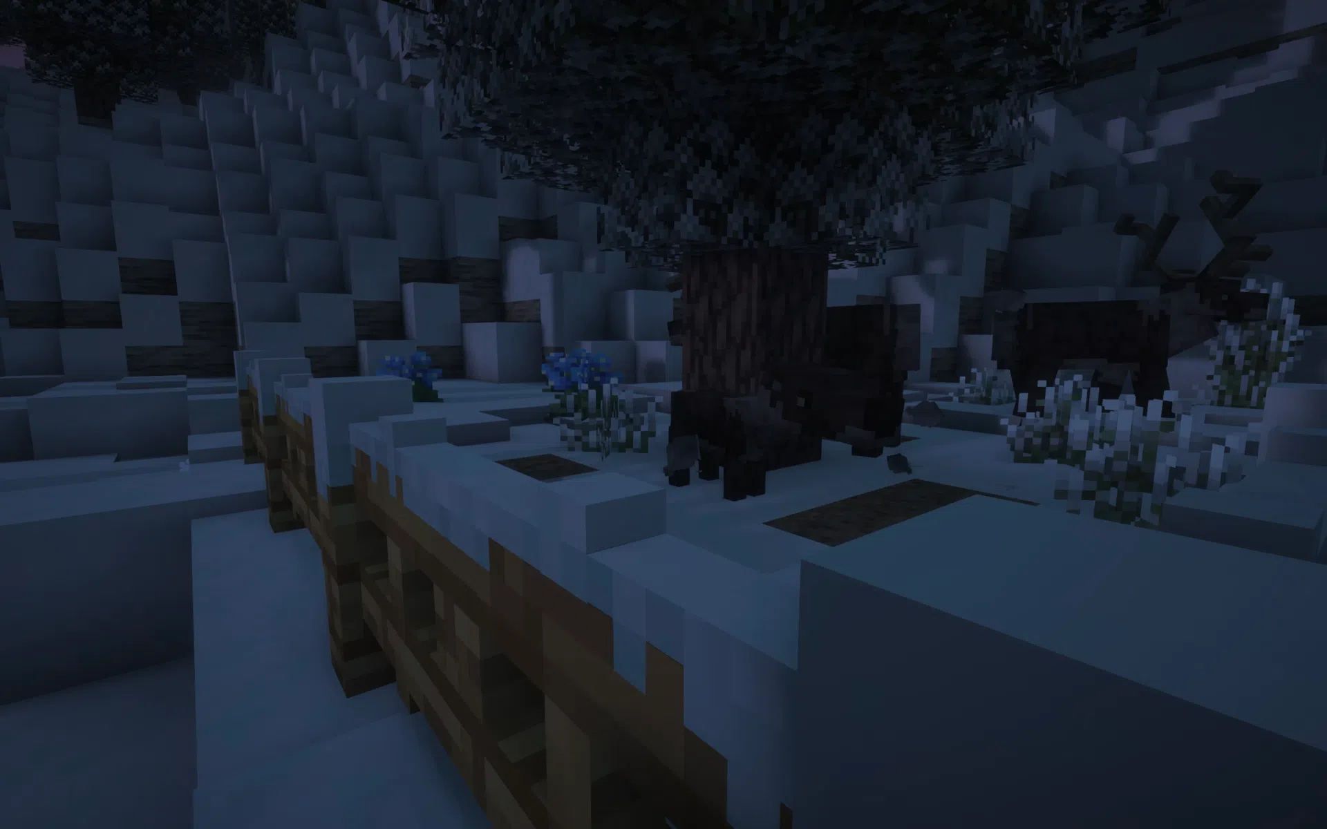 Quiet alpine wildlife sheltering under snowy trees.