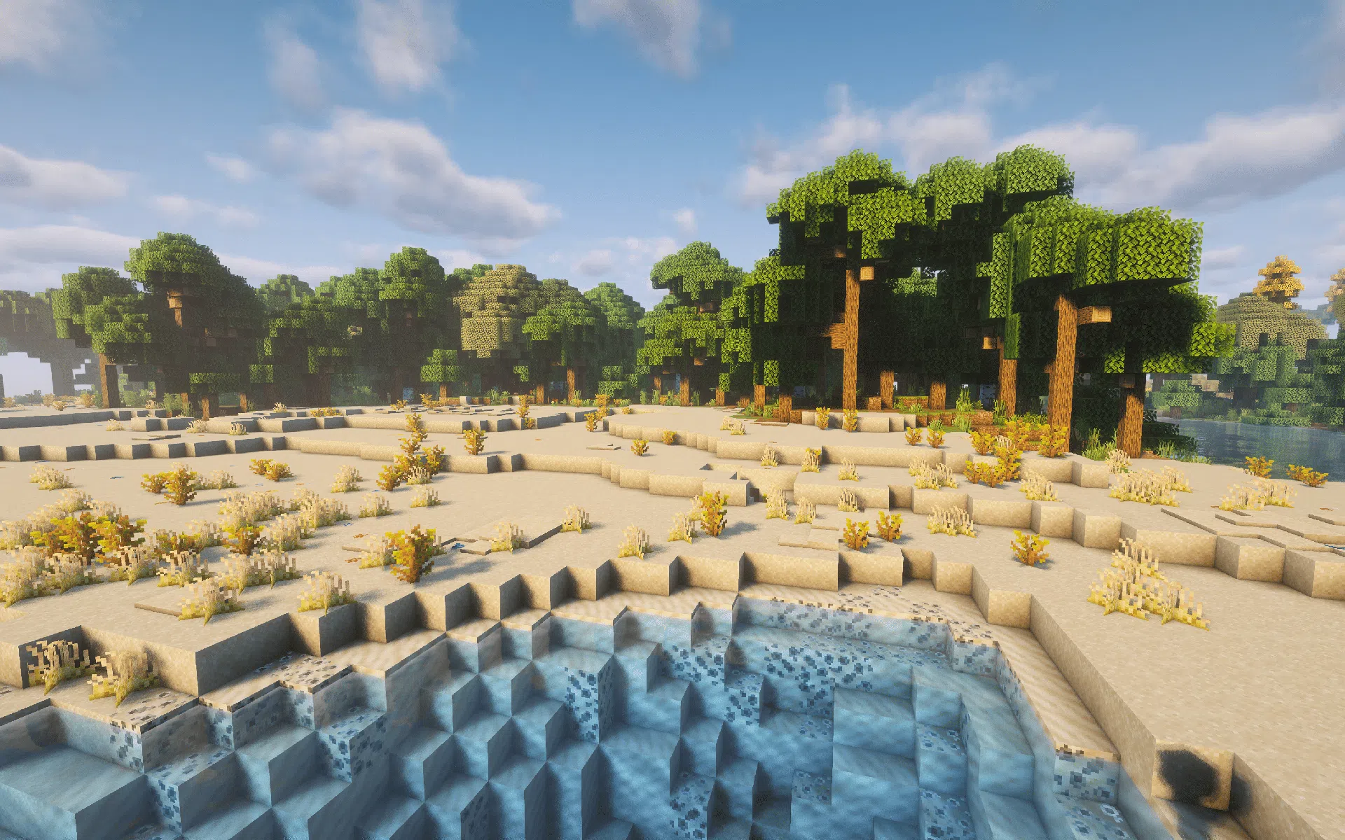 A reworked beach with richer vegetation