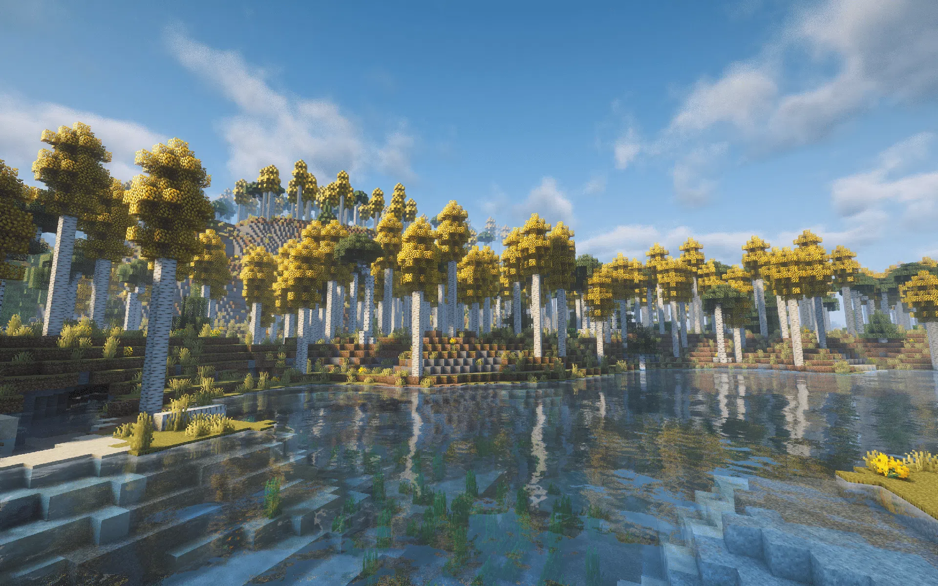 A newly introduced Aspen Forest