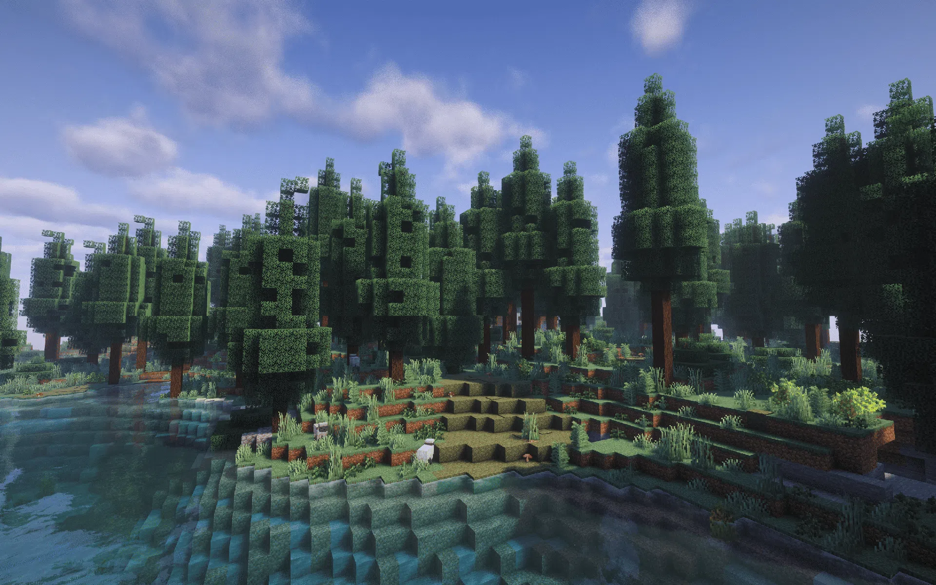 A denser and more varied Taiga