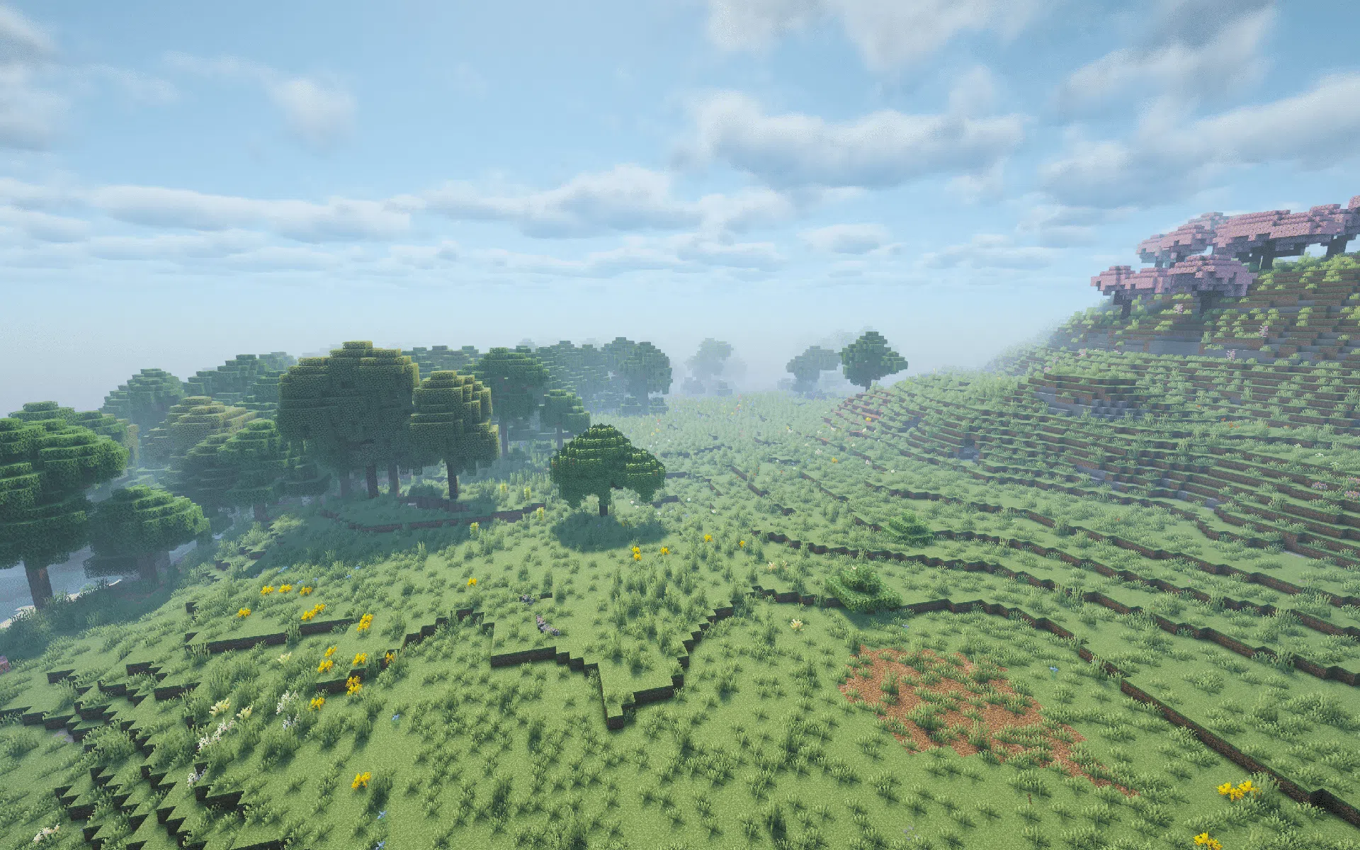 Plains with enhanced grass and plant variety