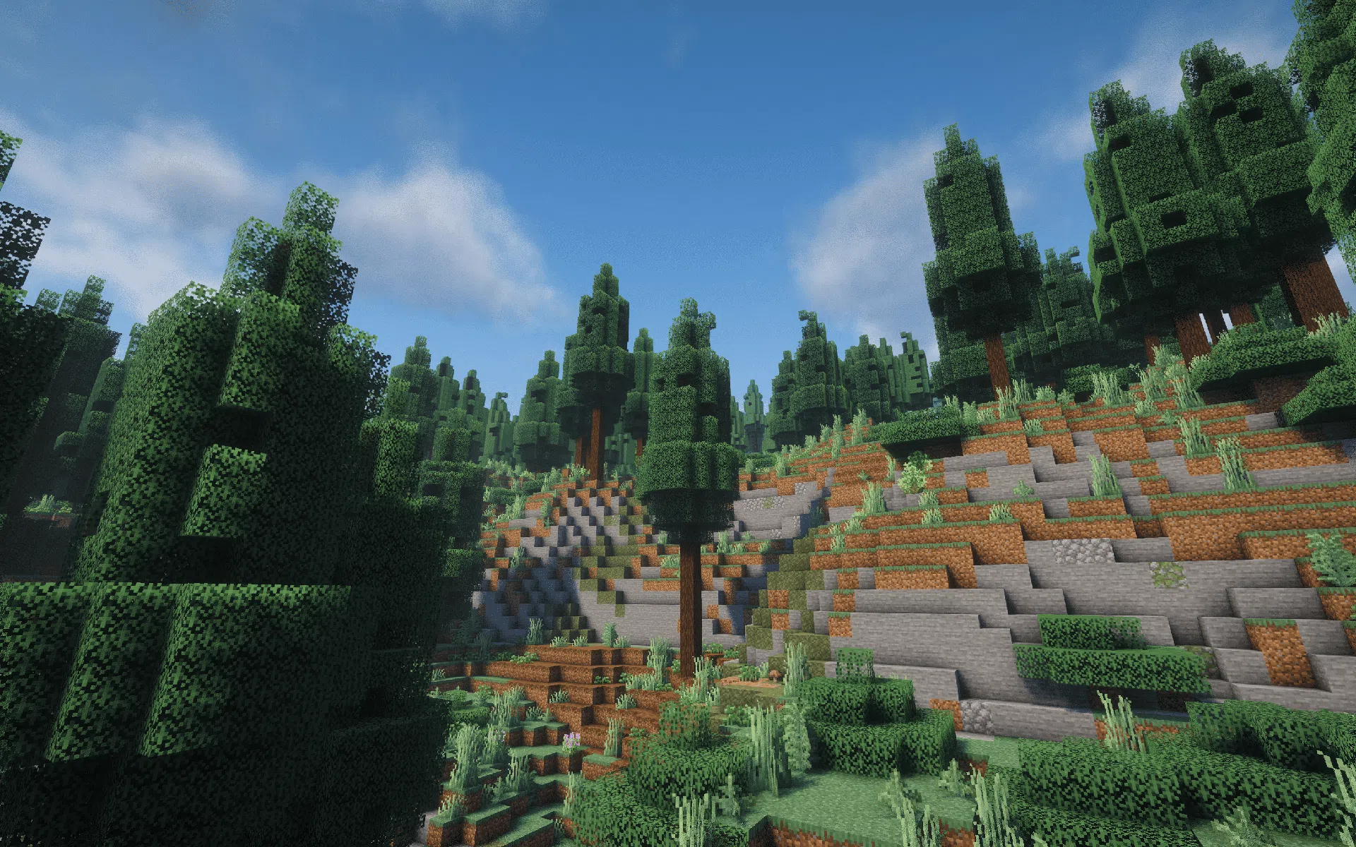 Rolling Taiga hills with layered trees