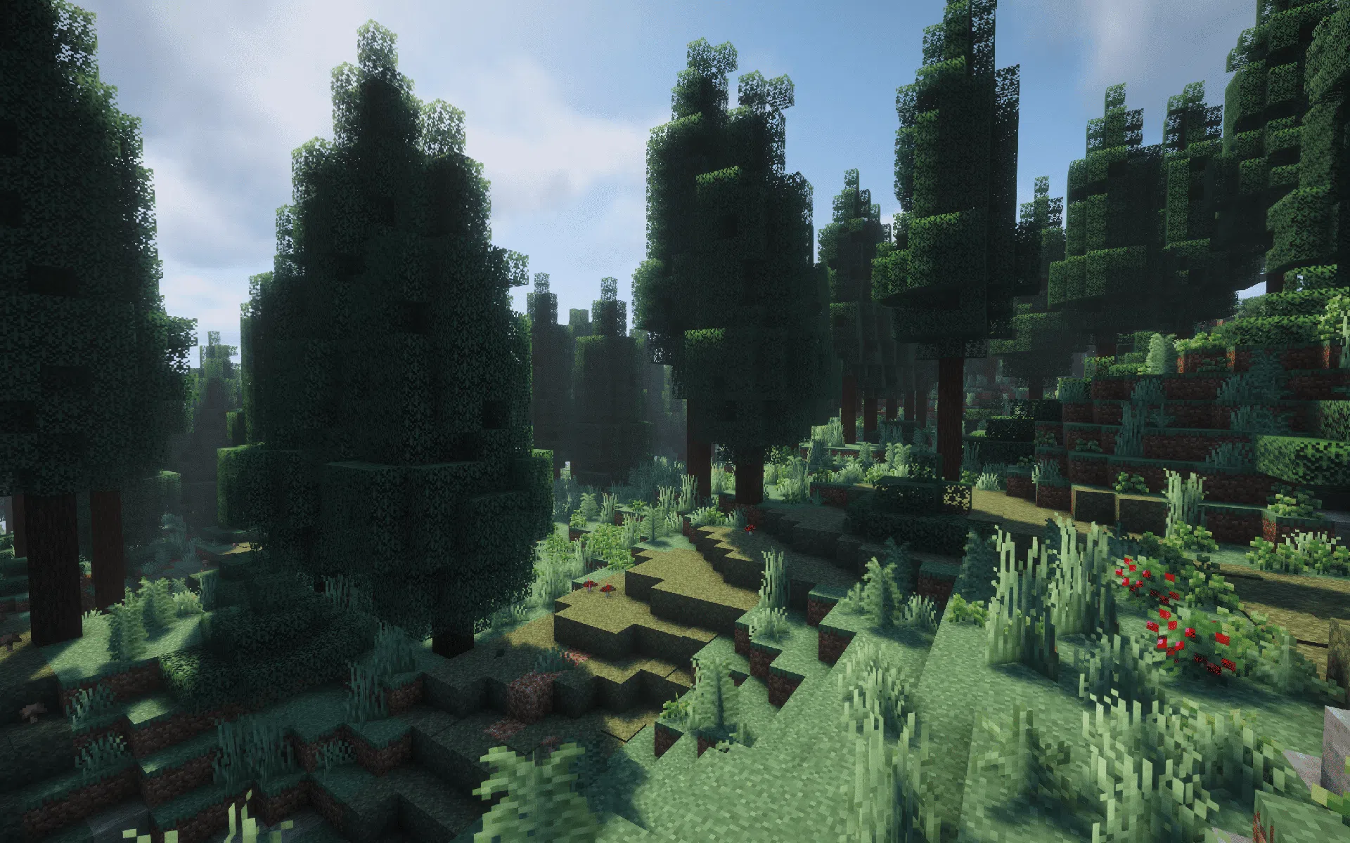 Deep inside a lush Taiga forest