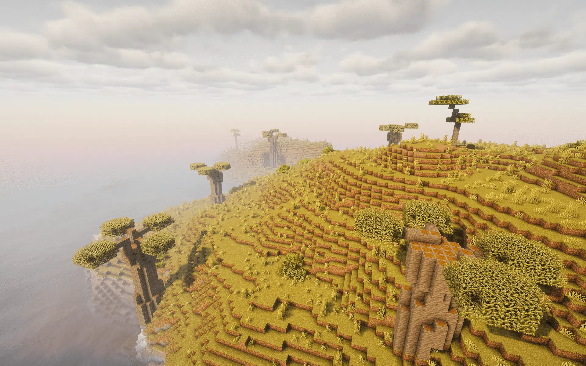 Savanna with improved terrain and vegetation