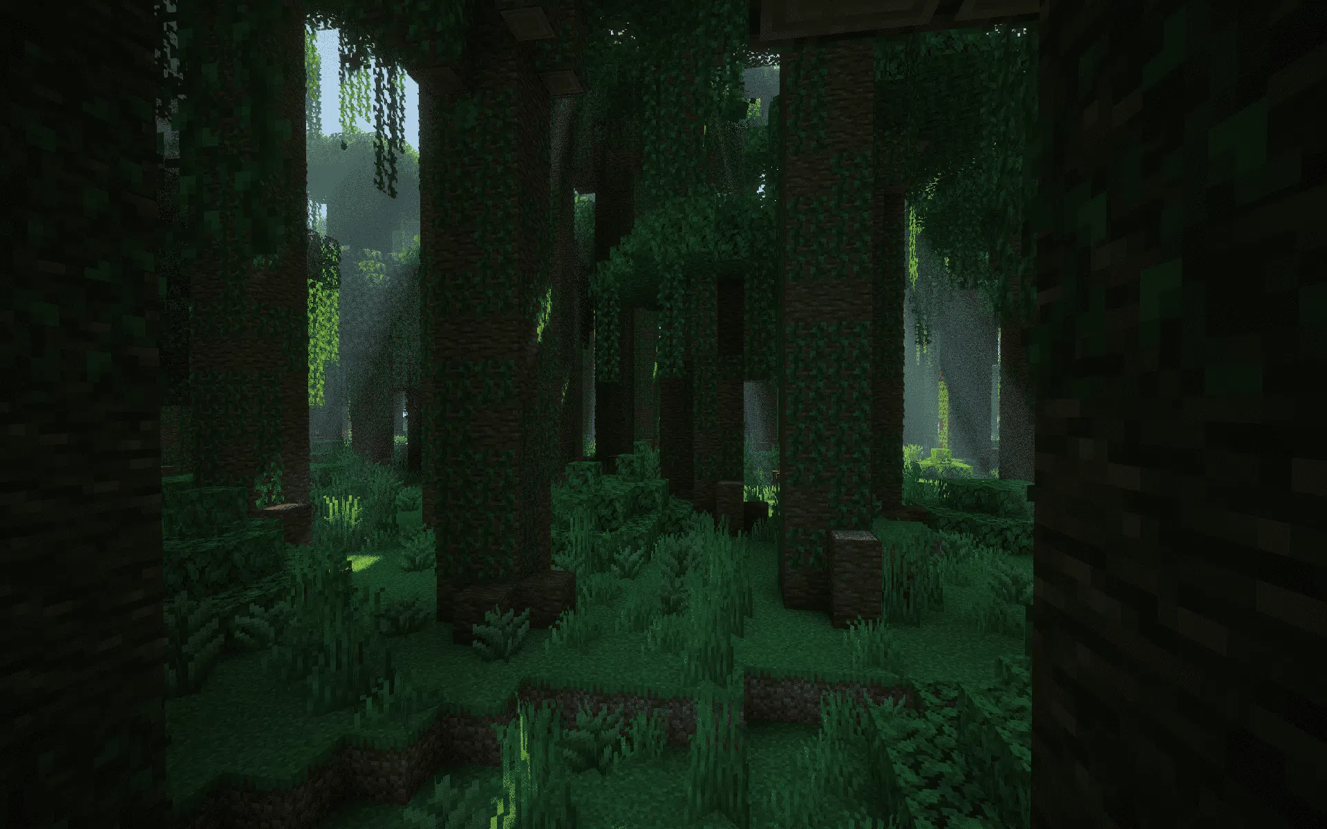 Dense vegetation inside the Jungle