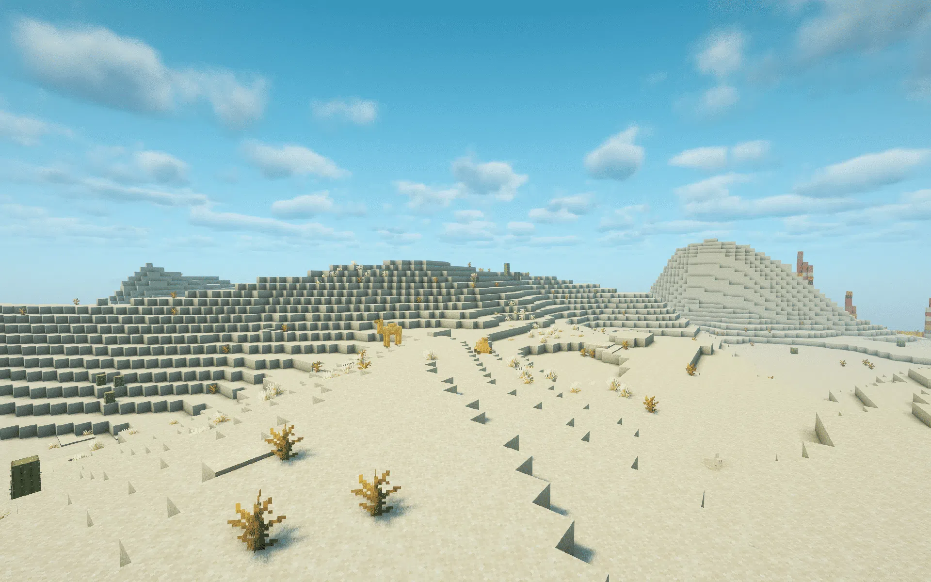 Wandering through a more alive Desert