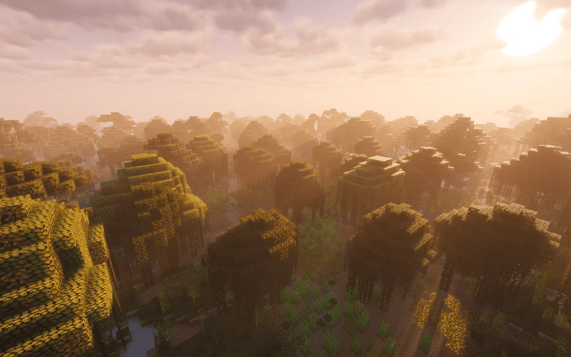 A thickened Swamp with richer plant life