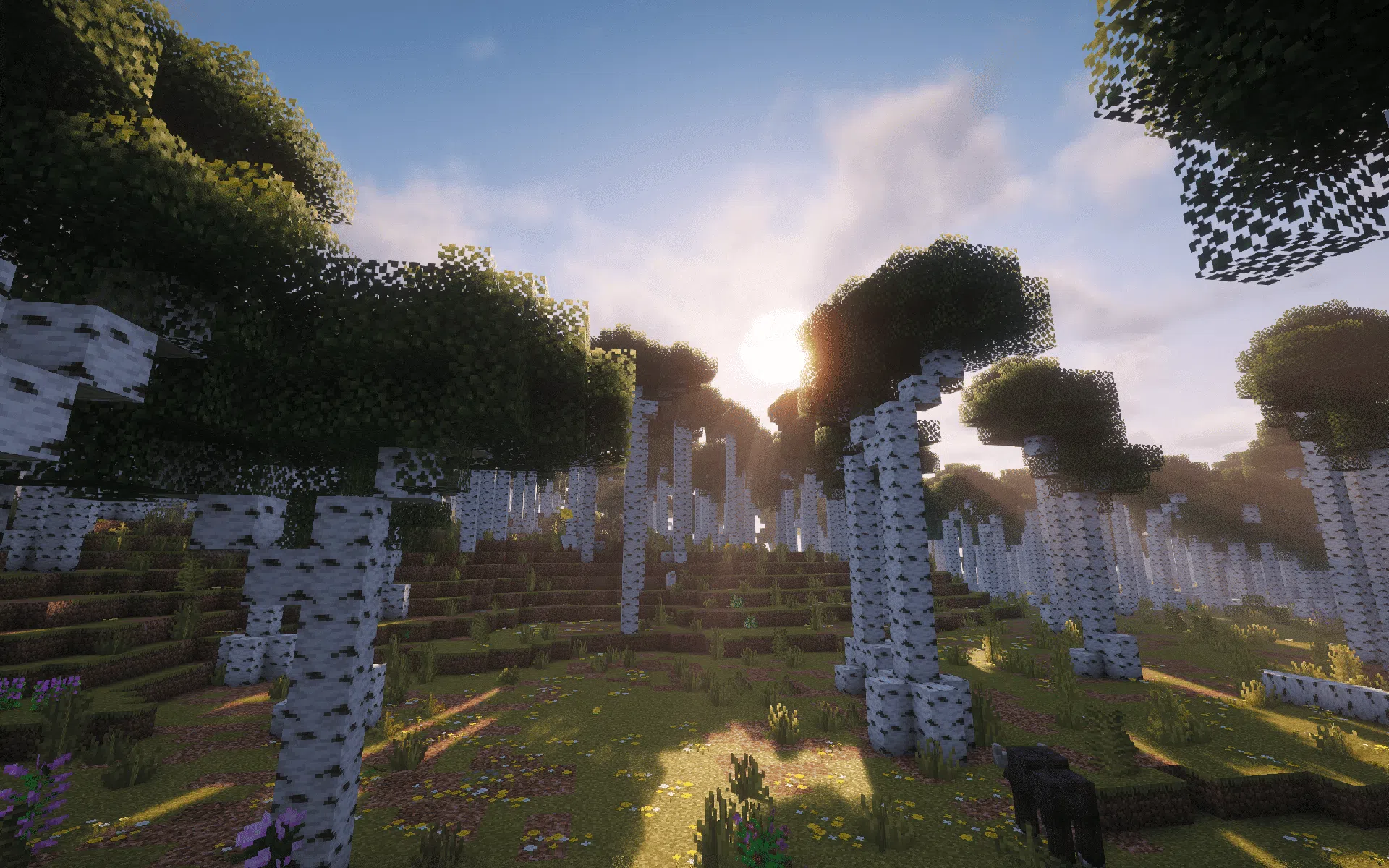 A refreshed Birch Forest with added depth