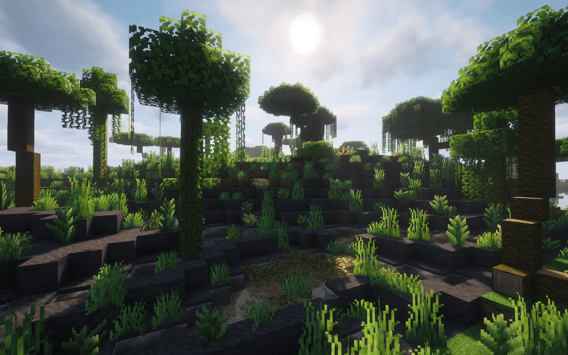 A lighter, more open Sparse Jungle