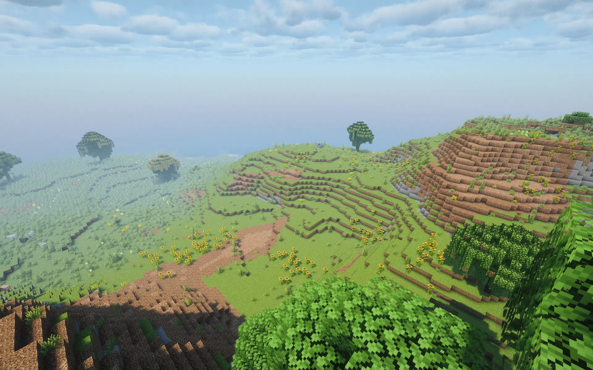 Sunflower Plains with increased color variety