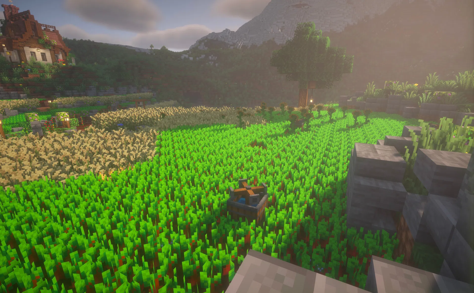 Crop fields with sprinklers